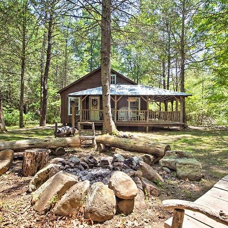 Clearwater Cabin On 10 Acres With Trout Stream! Monterey Ngoại thất bức ảnh