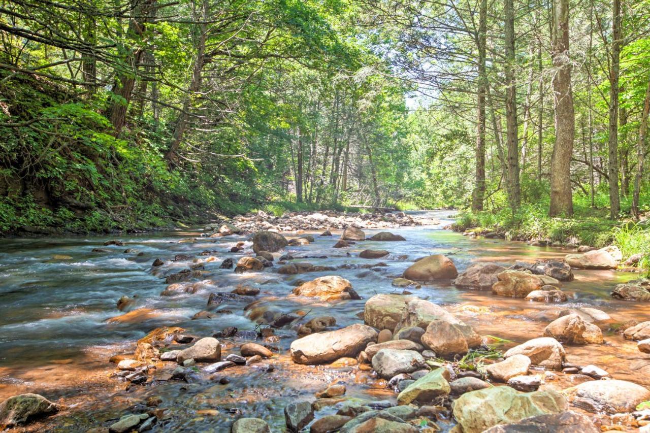 Clearwater Cabin On 10 Acres With Trout Stream! Monterey Ngoại thất bức ảnh