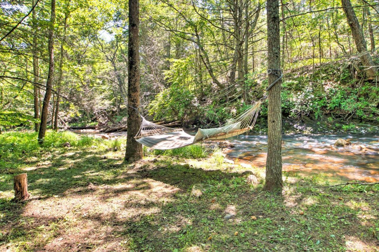 Clearwater Cabin On 10 Acres With Trout Stream! Monterey Ngoại thất bức ảnh