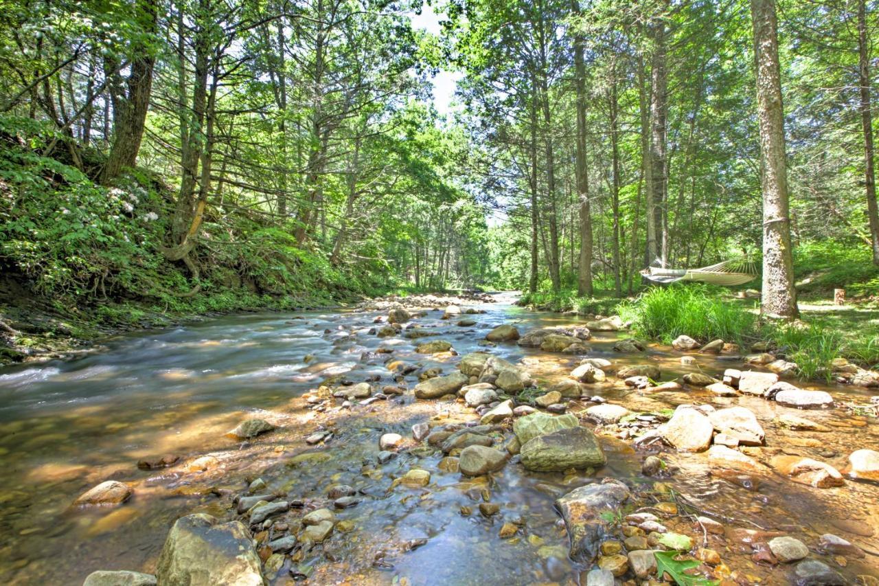 Clearwater Cabin On 10 Acres With Trout Stream! Monterey Ngoại thất bức ảnh